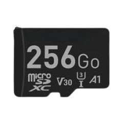 Carte Micro SD Vidéosurveillance 256 Go